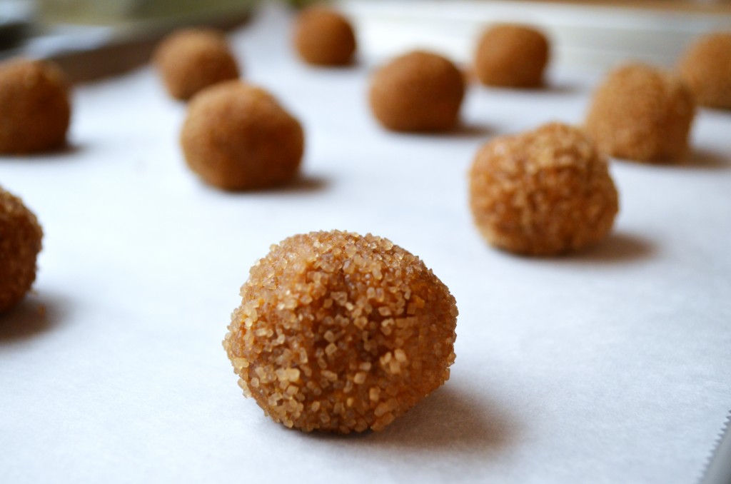 Ginger Cookies Ready to Bake