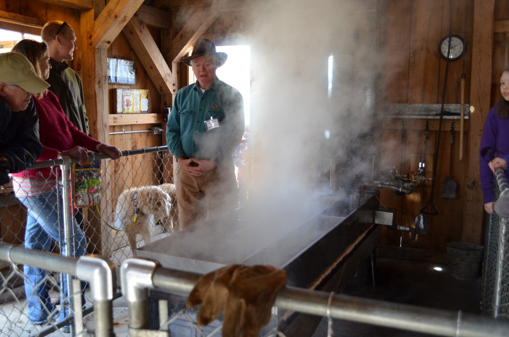 Inside the Sugar Shack watching sap boil into maple syrup.