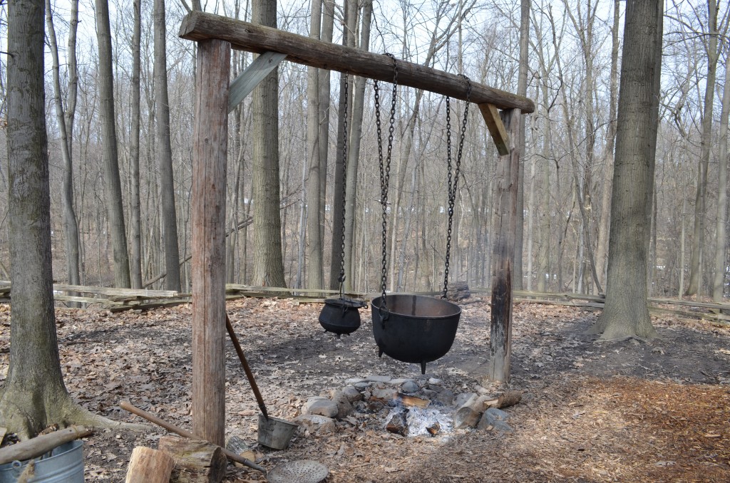 Native Americans boiled their sap in cauldrons over fire.