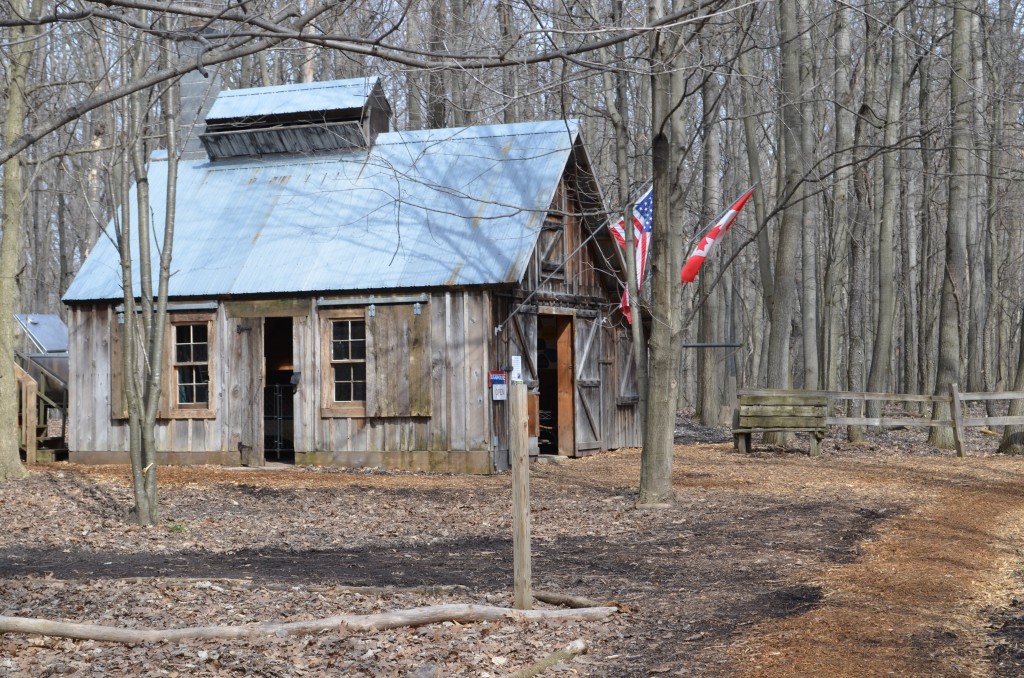 The sugar shack at Blandford Nature Center