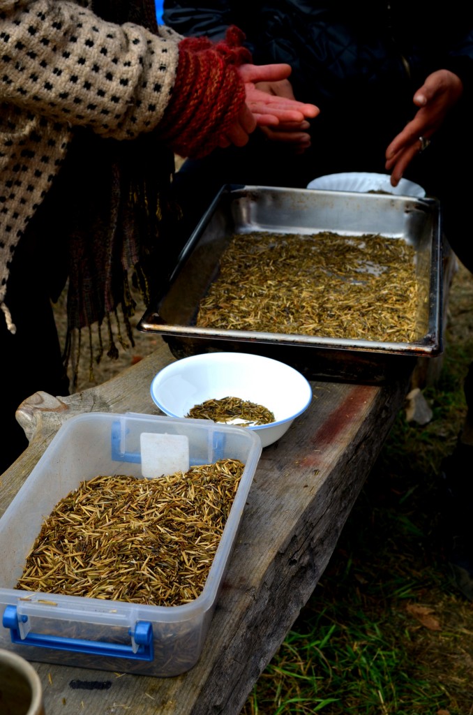 Here, volunteers finish the process by picking through the rice, removing any bits of chaff that remain after winnowing.