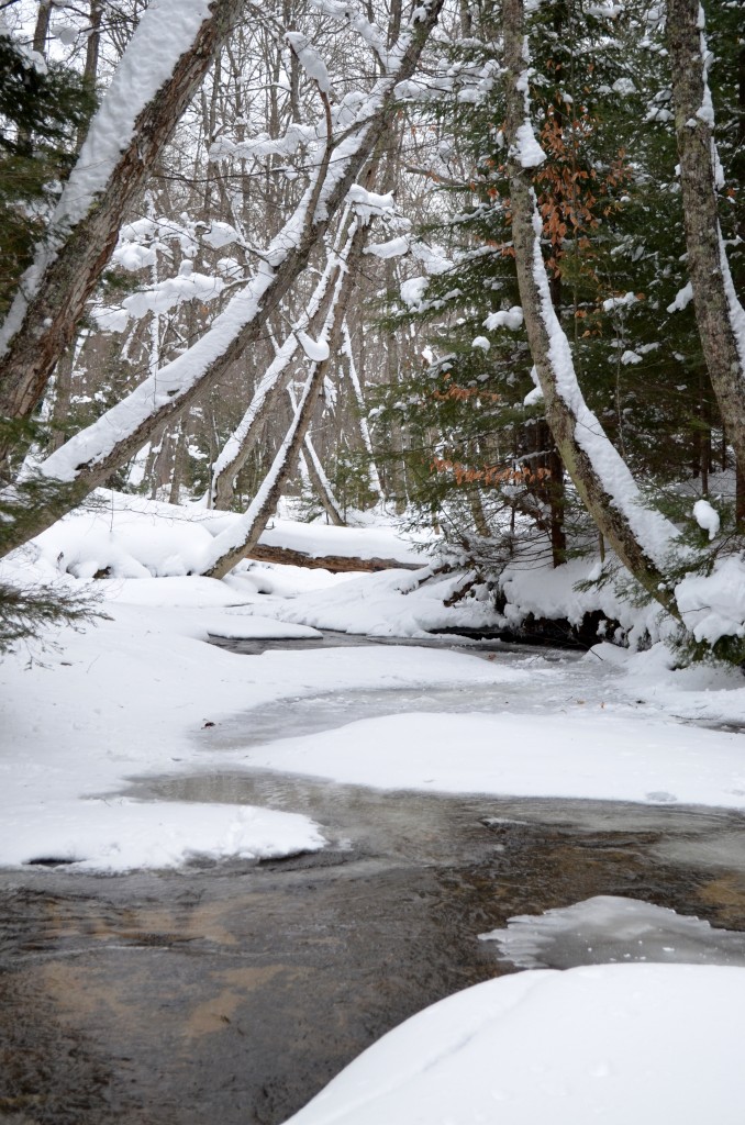 Stream in Eben Ice Caves Area