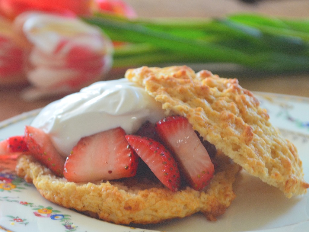 Strawberry Shortcakes